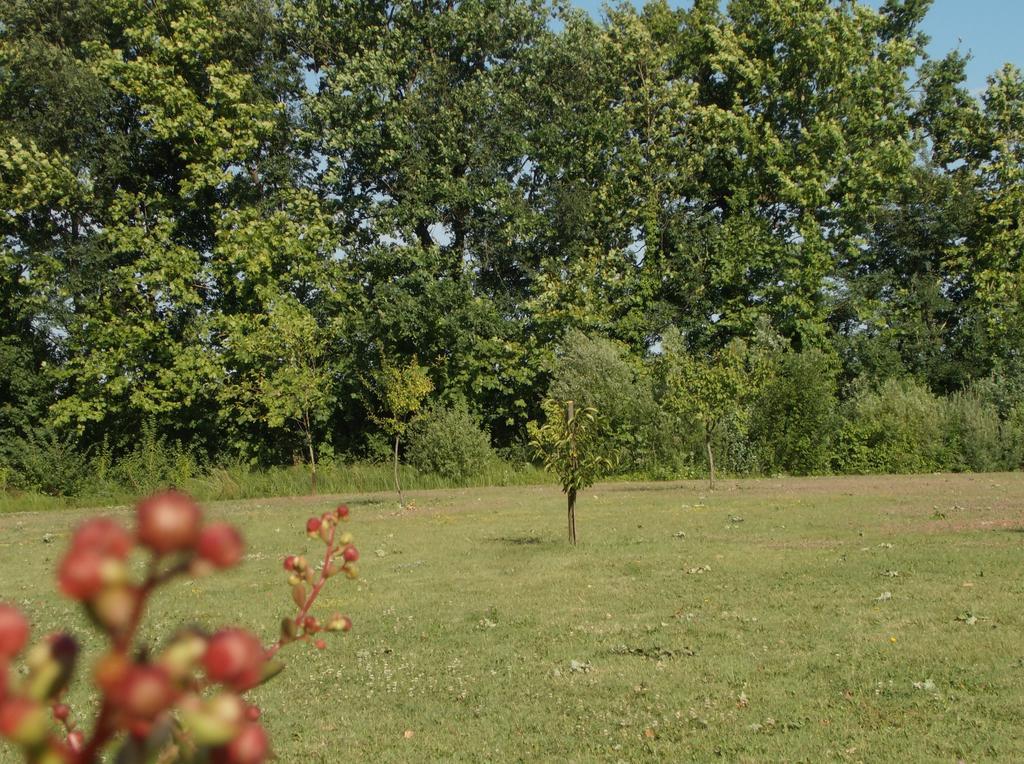 Casa Vacanze Riviera Del Brenta ドーロ エクステリア 写真